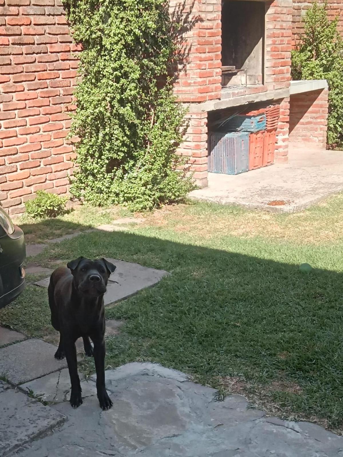 La Casita De Mogotes *